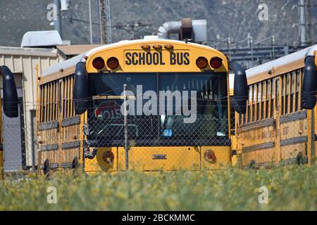 Schulbus Stockfoto