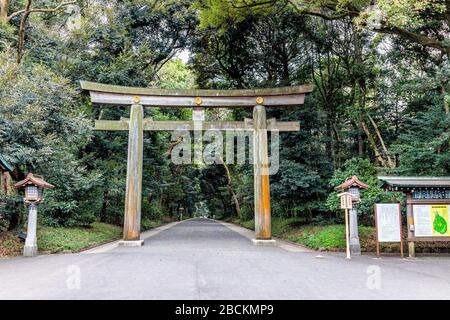 Tokio, Japan - 28. März 2019: Eingang zum Meiji-Schrein mit grünem Baumwald im Frühjahr und niemand mit Schild und steinerner Wegstraße Stockfoto