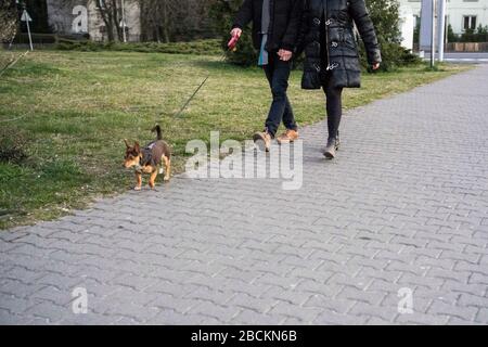 Posen, Großpolen, Polen. April 2020. Am Samstagabend. In Polen gibt es wegen der Coronavirus-Pandemie Einschränkungen im Alltagsbetrieb, und obwohl das Wetter recht gut ist und der Frühling verlockend ist, sind die Menschen vernünftig und bleiben zu Hause. Kredit: Dawid Tatarkiewicz/ZUMA Wire/Alamy Live News Stockfoto