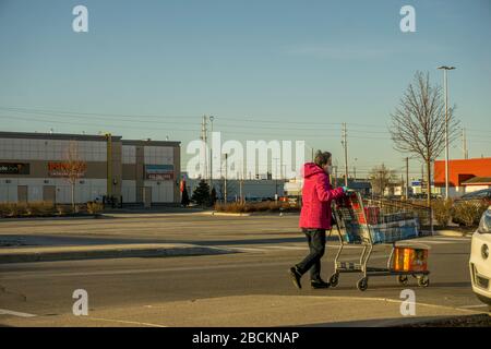 April 2020, Toronto, Kanada - Frau, die Maske wegen einer Covid -19-Pandemie trägt, die einen Einkaufswagen Lebensmittel auf ihr Fahrzeug schieben Stockfoto