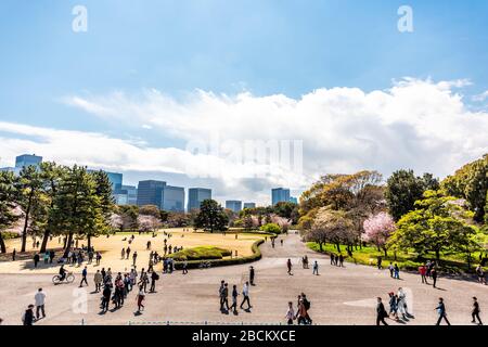 Tokio, Japan - 1. April 2019: Blick von der Seite des Edo-Burgfrieds auf den Nationalpark des kaiserlichen Palastes mit der Skyline moderner Wolkenkratzer im Stadtbild Stockfoto