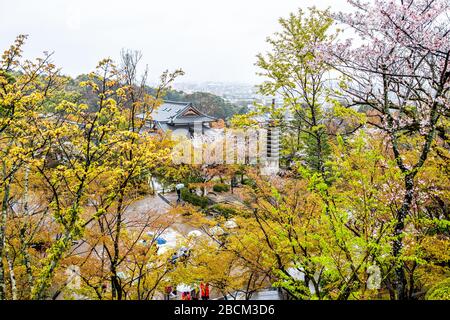 Kyoto, Japan - 9. April 2019: Hochwinkel-Luftbild vieler Menschen mit Regenschirmen, die während des regnerischen Tages in Kiyomizu-dera von Taisa am Eingang spazieren gehen Stockfoto