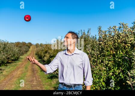 Apfelbäume Hof und fröhlicher Mann Bauerngärtner Jonglieren Obst lächelnd mit roten Äpfeln im Hintergrund im Garten im Herbst Landschaft in VI Stockfoto