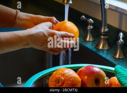Frau wäscht/desinfiziert frische Zitrusfrüchte im Küchenwaschbecken mit Wasser über die Oberfläche. Tröpfchen, die sich an der Frucht im Korb anhaften, bedeuten t Stockfoto