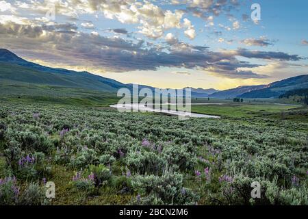 Die Sonne geht über das Lamar Valley nahe dem Nordosteingang des Yellowstone National Park in Wyoming auf. Stockfoto