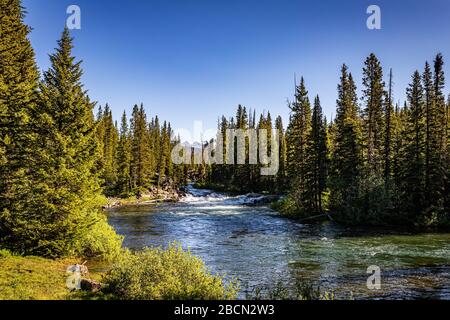 Der Broadwater River fließt in der Nähe von Cooke City Montana in der Nähe des Beartoot Highway. Stockfoto