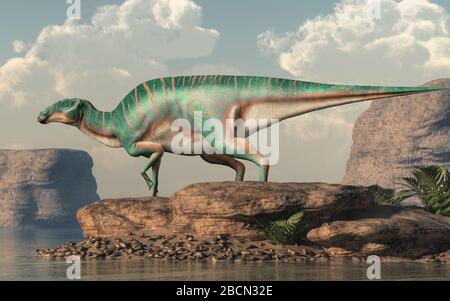 Maiasaura, ein Hadrosaur, auf Felsen an einem See. Diese Ente abgerechneten Dinosaurier, jetzt ausgestorben, war ein Pflanzenfresser, die während der kreidezeit lebte. Stockfoto