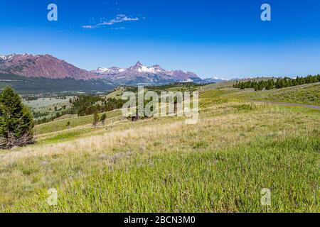 Der Beartooth Highway ist ein Abschnitt der U.S. Route 212 in Montana und Wyoming zwischen Red Lodge und Yellowstone National Park, der für seine atemberaubende Tour bekannt ist Stockfoto