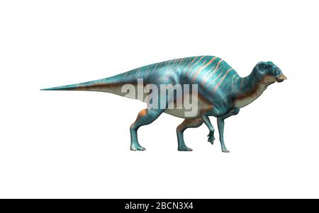 Maiasaura, ein Hadrosaur, auf weißem Hintergrund. Diese Ente abgerechneten Dinosaurier, jetzt ausgestorben, war ein Pflanzenfresser, die während der kreidezeit lebte. Stockfoto