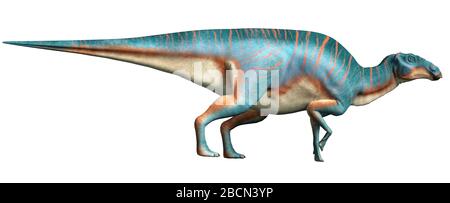 Maiasaura, ein Hadrosaur, auf weißem Hintergrund. Diese Ente abgerechneten Dinosaurier, jetzt ausgestorben, war ein Pflanzenfresser, die während der kreidezeit lebte. Stockfoto