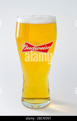Ein isolierter Budweiser Biertöner auf weißem Hintergrund Stockfoto