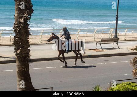 Beirut Libanon. April 2020. Ein Mann, der auf der Straße auf einem arabischen Pferd entlang einer leeren Strandpromenade von Beirut mit Palmen umherreitet, während öffentliche Versammlungen während eines Lockdowns verboten werden, um die Verbreitung des ovid-19-Romans Coronavirus einzudämmen. Credit: amer ghazzal/Alamy Live News Stockfoto