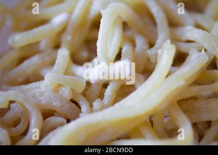 Spaghetti mit Schimmel verdorben. Nudeln oder Nudeln mit weißen Penicillausporen. Altes Essen Nahaufnahme Hintergrund Stockfoto