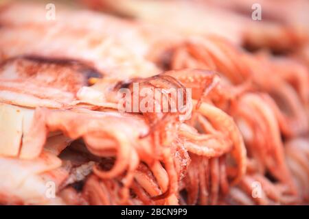 Gegrilltes Squid auf dem Markt Stockfoto