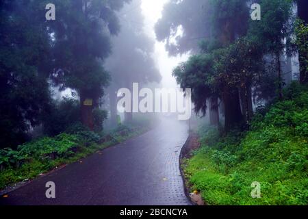 Darjeeling ist eine Stadt und eine Gemeinde im indischen Bundesstaat Westbengalen. Stockfoto