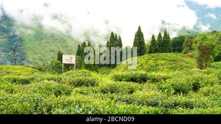 Darjeeling ist eine Stadt und eine Gemeinde im indischen Bundesstaat Westbengalen. Stockfoto