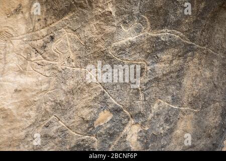 Touristenattraktion von Baku prähistorische Petroglyphen. Gobustan, Aserbaidschan. Stockfoto