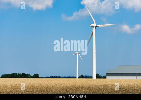 Windkraftanlagen und moderne Landwirtschaftsscheune in einem goldgelben Weizenfeld gegen einen blauen Himmel mit Wolken. Konzept für saubere, nachhaltige Energie. Stockfoto
