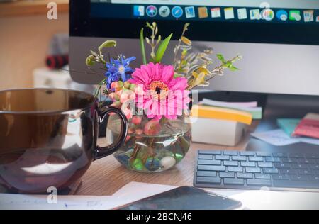 Gemischter Frühlings-Blumenstrauß mit Viola, Gerbera und blühenden Bäumen verzweigt sich in einer Mini-Glasvase am Fenster. Frühlingsblumen auf dem Arbeitstisch Stockfoto