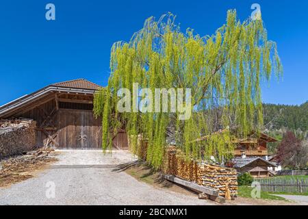 Scheune eines Bauernhofes in der Nähe von Verano, Südtirol im Frühjahr Stockfoto