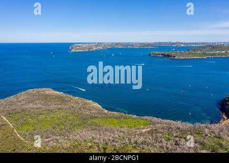 Luftbild auf dem berühmten South Head, Sydney, Australien. Blick auf die Vorstadt von Sydney von oben. Luftansicht auf Sydney North Harbour und South Head Stockfoto