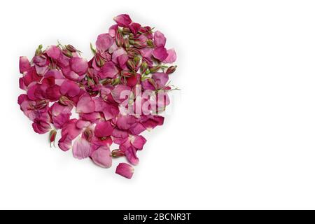 Isolieren. Das Herz besteht aus einer Blütenrose. Weißer Hintergrund. Für Grüße, Hochzeiten, Postkarten, valentine. Freier Speicherplatz für Text. Stockfoto