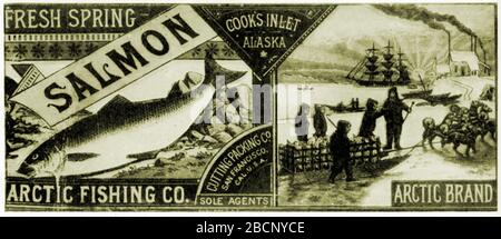 Eine frühe Arctic Brand (Fishing Company) verzinnte Lachsetikette, deren einzige Vertreter die Cutting Packing Co. Aus San Francisco, Kalifornien, USA waren. Die California Packing Corporation war Nachfolger des Cutting Packing Co (Francis Cutting) und wurde später von Del Monte und CalPak übernommen. Stockfoto