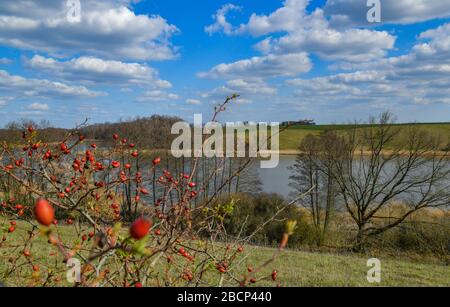 Lietzen, Deutschland. April 2020. Frühling im Lietzener Mühlental. Zum Naturschutzgebiet Lietzener Mühlental gehört ein Teil des Tals der Platkower Mühlenfließ. Sie schützt einen eiszeitlichen Schmelzwasserkanal, der in die Grundmoränenplatte und die umliegenden Talhänge eingegraben wurde. Die im Mühlenfließ gefundene Unterwasservegetation ist nach der Europäischen Flora-Fauna-Habitat-Richtlinie (FFH) geschützt. Credit: Patrick Pleul / dpa-Zentralbild / ZB / dpa / Alamy Live News Stockfoto