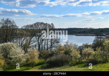 Lietzen, Deutschland. April 2020. Frühling im Lietzener Mühlental. Zum Naturschutzgebiet Lietzener Mühlental gehört ein Teil des Tals der Platkower Mühlenfließ. Sie schützt einen eiszeitlichen Schmelzwasserkanal, der in die Grundmoränenplatte und die umliegenden Talhänge eingegraben wurde. Die im Mühlenfließ gefundene Unterwasservegetation ist nach der Europäischen Flora-Fauna-Habitat-Richtlinie (FFH) geschützt. Credit: Patrick Pleul / dpa-Zentralbild / ZB / dpa / Alamy Live News Stockfoto