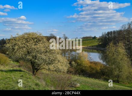 Lietzen, Deutschland. April 2020. Frühling im Lietzener Mühlental. Zum Naturschutzgebiet Lietzener Mühlental gehört ein Teil des Tals der Platkower Mühlenfließ. Sie schützt einen eiszeitlichen Schmelzwasserkanal, der in die Grundmoränenplatte und die umliegenden Talhänge eingegraben wurde. Die im Mühlenfließ gefundene Unterwasservegetation ist nach der Europäischen Flora-Fauna-Habitat-Richtlinie (FFH) geschützt. Credit: Patrick Pleul / dpa-Zentralbild / ZB / dpa / Alamy Live News Stockfoto