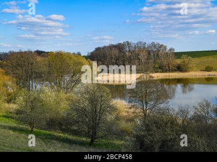 Lietzen, Deutschland. April 2020. Frühling im Lietzener Mühlental. Zum Naturschutzgebiet Lietzener Mühlental gehört ein Teil des Tals der Platkower Mühlenfließ. Sie schützt einen eiszeitlichen Schmelzwasserkanal, der in die Grundmoränenplatte und die umliegenden Talhänge eingegraben wurde. Die im Mühlenfließ gefundene Unterwasservegetation ist nach der Europäischen Flora-Fauna-Habitat-Richtlinie (FFH) geschützt. Credit: Patrick Pleul / dpa-Zentralbild / ZB / dpa / Alamy Live News Stockfoto