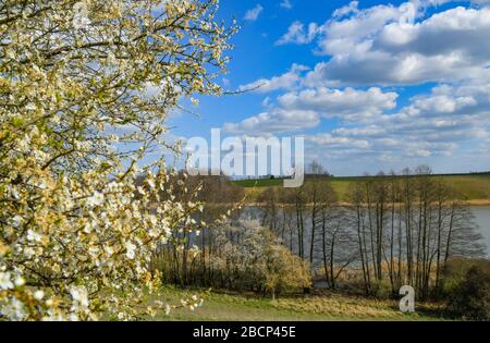 Lietzen, Deutschland. April 2020. Frühling im Lietzener Mühlental. Zum Naturschutzgebiet Lietzener Mühlental gehört ein Teil des Tals der Platkower Mühlenfließ. Sie schützt einen eiszeitlichen Schmelzwasserkanal, der in die Grundmoränenplatte und die umliegenden Talhänge eingegraben wurde. Die im Mühlenfließ gefundene Unterwasservegetation ist nach der Europäischen Flora-Fauna-Habitat-Richtlinie (FFH) geschützt. Credit: Patrick Pleul / dpa-Zentralbild / ZB / dpa / Alamy Live News Stockfoto