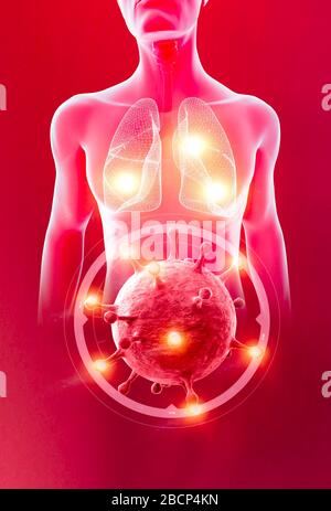 Röntgenansicht der Lunge und Luftröhre, Coronavirus, vom menschlichen Körper. Virus, das die Atmungsorgane angreift. Covid-19. 3D-Rendering. Virusinfektionsausbreitung. Stockfoto