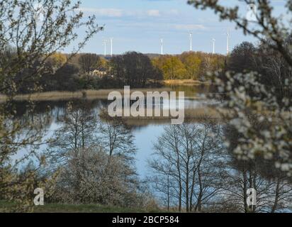 Lietzen, Deutschland. April 2020. Frühling im Lietzener Mühlental. Zum Naturschutzgebiet Lietzener Mühlental gehört ein Teil des Tals der Platkower Mühlenfließ. Sie schützt einen eiszeitlichen Schmelzwasserkanal, der in die Grundmoränenplatte und die umliegenden Talhänge eingegraben wurde. Die im Mühlenfließ gefundene Unterwasservegetation ist nach der Europäischen Flora-Fauna-Habitat-Richtlinie (FFH) geschützt. Credit: Patrick Pleul / dpa-Zentralbild / ZB / dpa / Alamy Live News Stockfoto