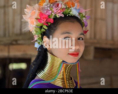 Hübsches thailändisches/birmanisches Mädchen mit langem Hals Kayan im Teenager-Alter ("Giraffe Woman") mit Hals-Ringen/Spulen aus Padaung-Messing für die Kamera. Stockfoto