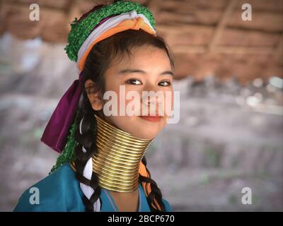 Hübsches thailändisches/birmanisches Mädchen mit langem Hals Kayan im Teenager-Alter ("Giraffe Woman") mit Hals-Ringen/Spulen aus Padaung-Messing für die Kamera. Stockfoto