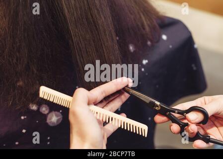 Der Friseursalon schneidet die Haarspitzen einer Brunette, die in einem Schönheitssalon sitzt. Nahaufnahme des Friseursalons, der Frau mit einer Schere im Friseursalon einen Haarschnitt zumacht. Stockfoto