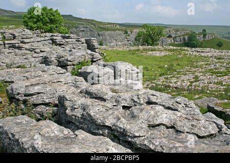 Kalksteinpflaster auf der Spitze von Malham Cove, Yorkshire Dales, Großbritannien Stockfoto