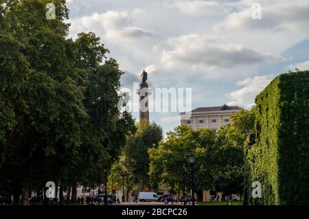 Nelson's Column durch Bäume, von der Horse Guards Parade, London, Großbritannien aus gesehen Stockfoto