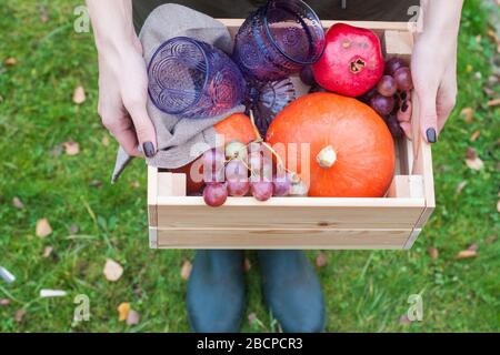 Hände halten Holzkiste mit Gemüse: Kürbis, Traube, Granatapfel und Gläser Wein. Nahaufnahme. Stockfoto