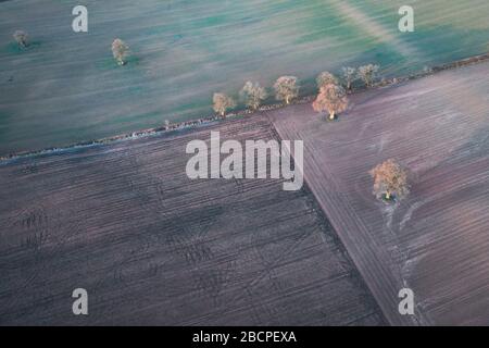 Luftbild oben dwon Blick über die Feldtexturen der Landwirtschaft am Wintermorgen in Großbritannien Stockfoto