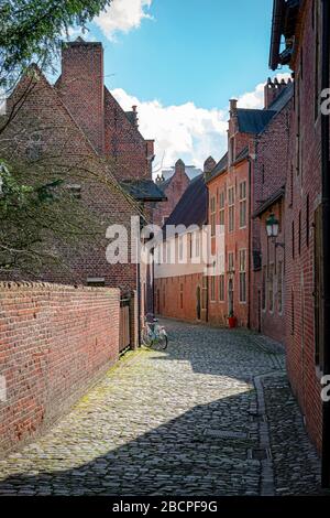 Leere Kopfsteinpflasterstraßen mit roten Ziegelsteinbauten aus der großen Leguine von Leuven, Belgien, an einem sonnigen Tag. Reisekonzept. Stockfoto