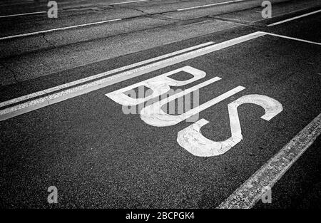 Schild an der Straße bus, Detail eines Zeichens auf den Asphalt, Informationen und Anzeige Signal gemalt Stockfoto