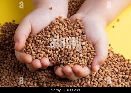 Hände mit Buchweizenleisten, Draufsicht. Buchweizenhintergrund Stockfoto