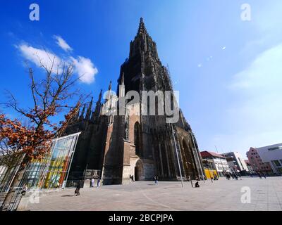 Ulm, Deutschland: Münster Stockfoto