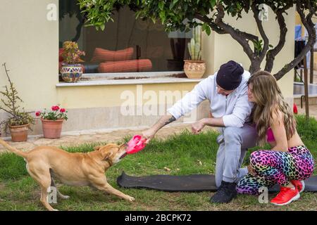 Ein Paar, das mit Hund im House-Yard spielt Stockfoto