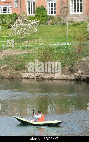 Hereford, Herefordshire UK - Sonntag, 5. April 2020 - EIN Mann paddelt ein aufblasbares Kanu entlang des Flusses Wye im Frühling Sonnenschein für die Bewegung während der Coronavirus-Krise. Foto Steven May / Alamy Live News Stockfoto