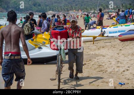 Indien, North Goa, 2012 Stockfoto