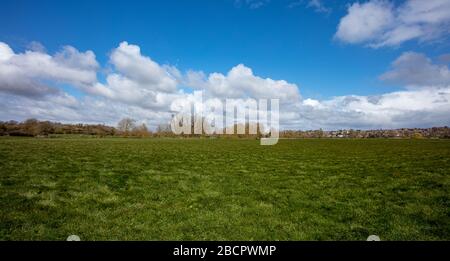 The Water Meadows in Sudbury Suffolk Stockfoto