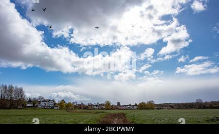 The Water Meadows in Sudbury Suffolk Stockfoto
